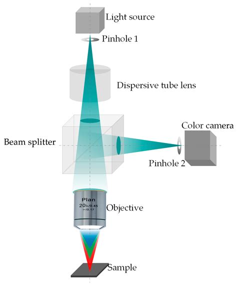 confocal microscopy thickness measurement|quantitative confocal microscopy guidelines.